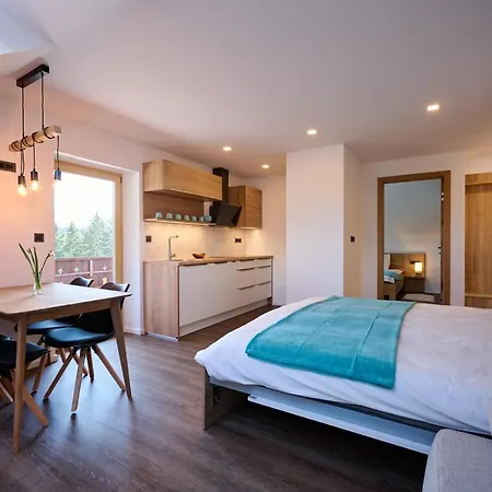 Domacija Metul * Luče