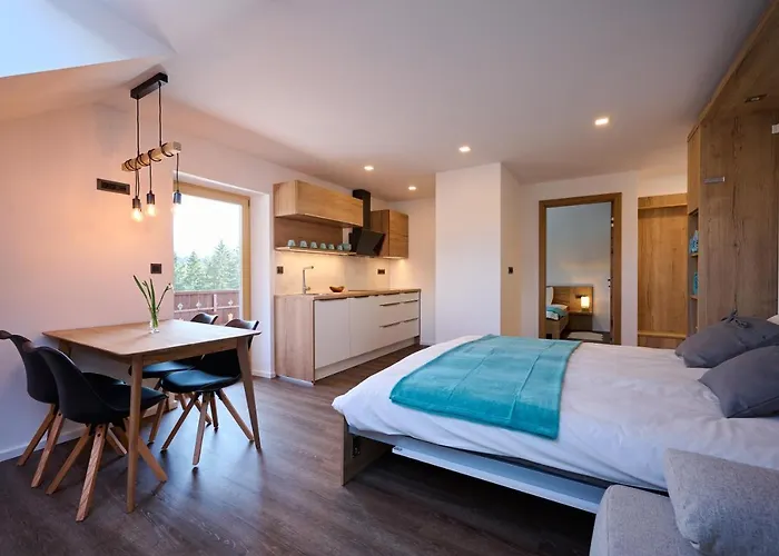 Domacija Metul * Luče