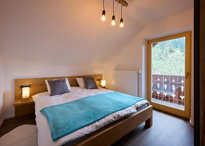 Apartman Domacija Metul Luče